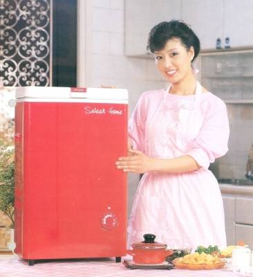 1995년 출시된 대우전자의 김치냉장고(사진=동부대우전자) 