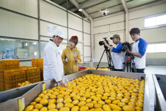 성주 참외 생산지인 성주군 선남면에서 ‘G마켓이 간다’ 촬영을 진행하고 있다. (사진=G마켓) 