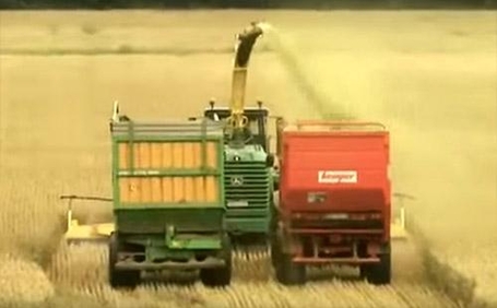 기계를 이용해 밀을 수확하고 있다. / 유투브 화면 캡처