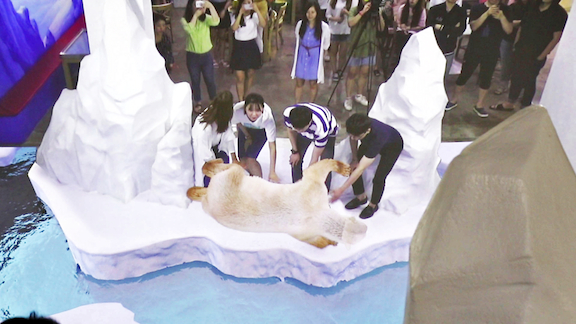 홍대 부근에 위치한 트릭아이뮤지엄이 북극 동물을 지키기 위한 체험형 전시회 ‘위 아 프렌즈 전’을 상시 진행한다. / 소셜네트워크 제공