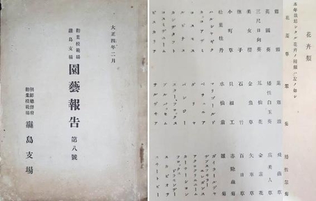 1915년 권업모범장 뚝도지장에서 발간한 ‘원예보고’ 제8호 표지(왼쪽)와 당시 재배연구가 이루어진 화훼류 목록.