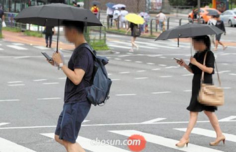 2017년 7월 31일 서울 연세대 인근 횡단보도 모습. 우산을 쓴 시민이 스마트폰에서 눈을 떼지 않은채 길을 건넜다. / 조선일보DB