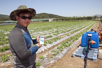 감자 재배농가 농장주가 스마트폰을 활용해 ‘지능형 관수관비 솔루션’을 작동시키고 있다. / SK텔레콤 제공