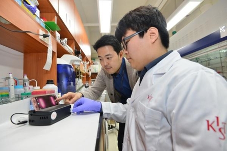 연구팀이 새로 개발한 조류인플루엔자 바이러스 검출 키트를 시연하고 있다. / 한국과학기술연구원 제공