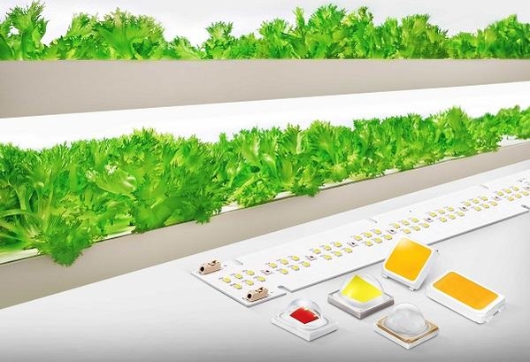 삼성전자 식물 생장용 LED 패키지와 모듈 이미지. / 삼성전자 제공