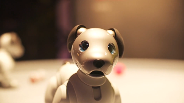 소니의 인공지능 강아지 로봇 ‘아이보(Aibo)’/유튜브에서 갈무리