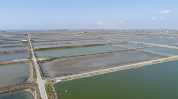 구글이 태양 전지 패널을 올릴 예정인 대만 타이난시 지역 연못./ CNBC 갈무리