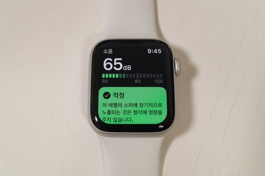 애플 워치의 소음 앱. / 장미 기자