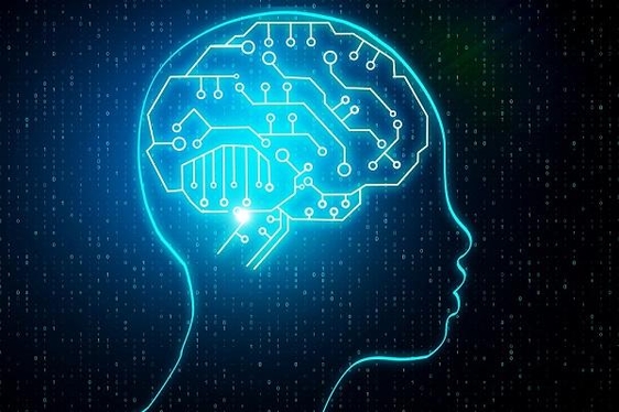 카이스트는 신경과학과 AI의 융합연구로 인간의 문제해결 과정에서 뇌가 정보를 처리하는 원리를 규명하는 데 성공했다. / 카이스트 제공