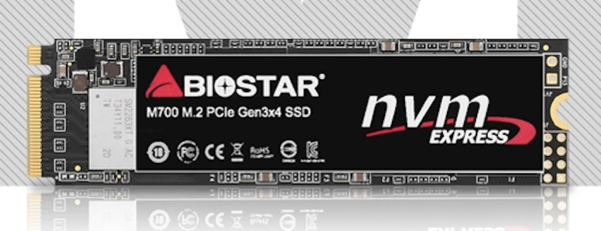 바이오스타 M.2 2280 SSD M700. / 이엠텍아이엔씨 제공