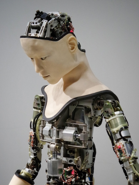 AI는 연산 만을 하는 계산기이다. 인간과 유사한 형태의 신체를 갖춘 AI 로봇에게는 호르몬이 흐르지 않는다./사진 제공: Franck V.