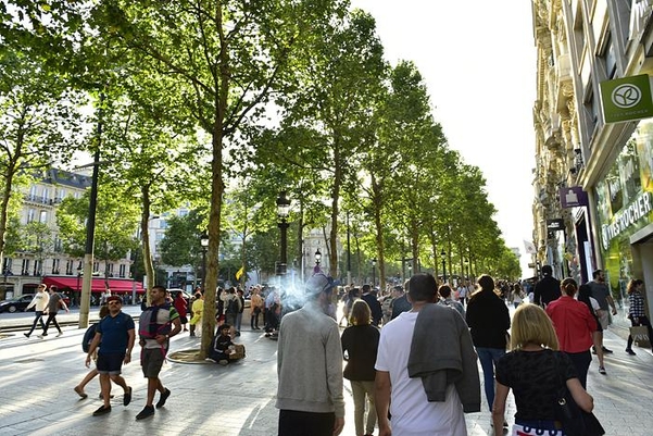 샹젤리제 거리의 양버즘나무는 간접 흡연을 피할 수 없다