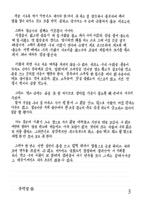  ‘#하루천자’ 동백꽃 ③ 필사 예. / 정백성