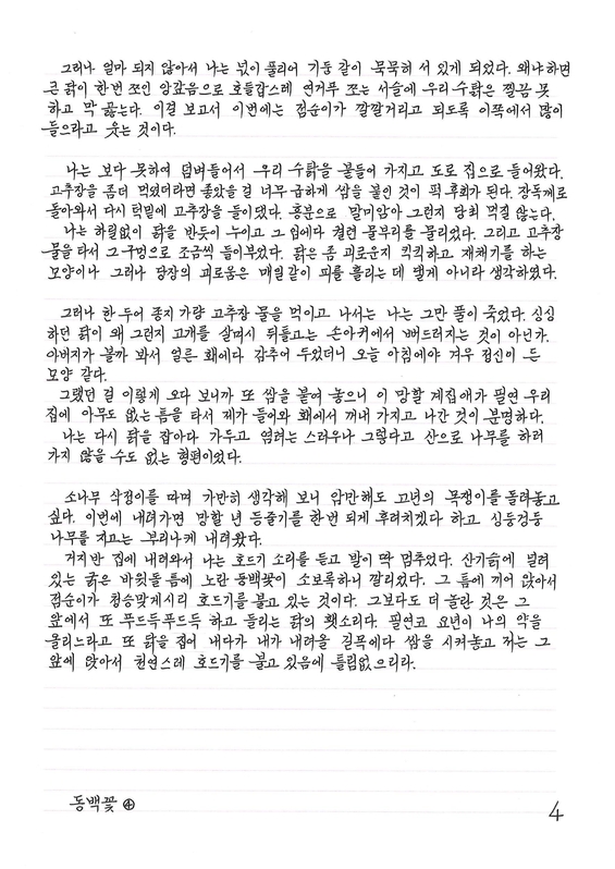  ‘#하루천자’ 동백꽃 ④ 필사 예. / 정백성