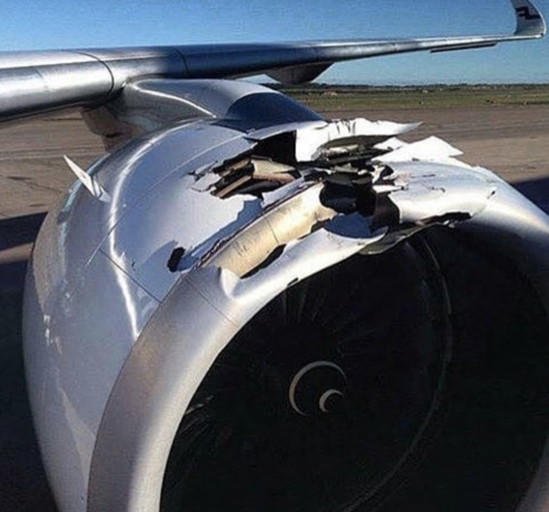버드 스트라이크 후 엔진이 파손된 항공기 모습. / 마이애미 국제공항 홈페이지 갈무리