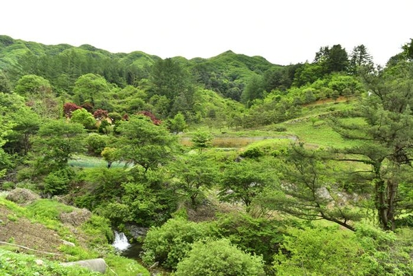 경기도 가평군 연인산의 5월 풍경