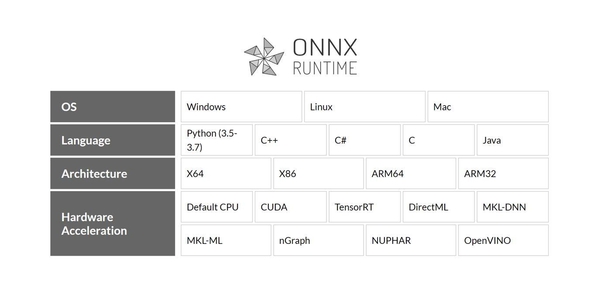 ONNX 런타임 지원 사항