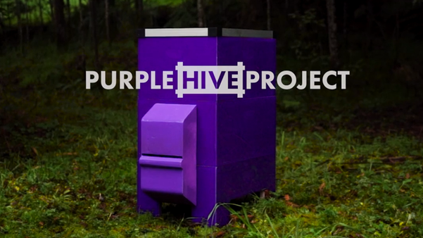  ‘퍼플 하이브’ 표현 그대로 보라색 벌집같은 외형이다. /퍼플 하이브 프로젝트