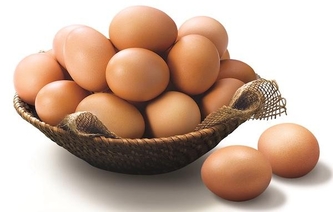 동물복지 계란 / 이마트