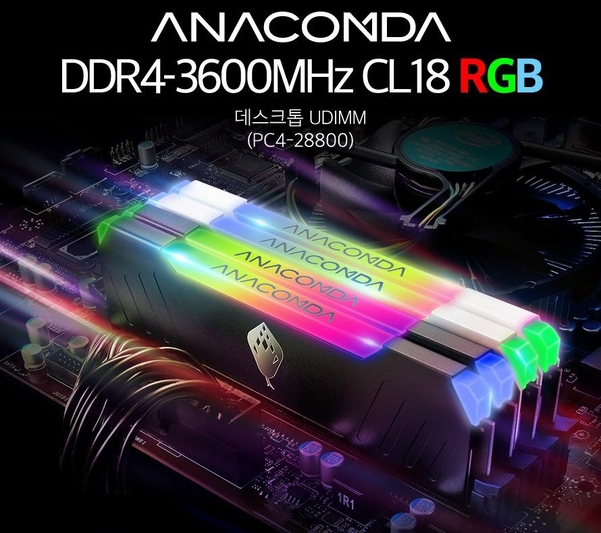 아나콤다 DDR4-3600MHz RGB 메모리 / 디앤디컴