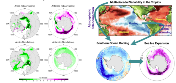 남북극 해빙 변화 비교(왼쪽)와 지구의 자연변동성이 남극해 수온 하강에 미치는 영향 모식도 / 극지연구소
