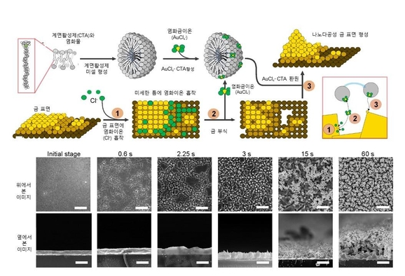 연구진이 설명한 나노구조와 나노다공성 금 표면을 생성하는 매커니즘 / IBS