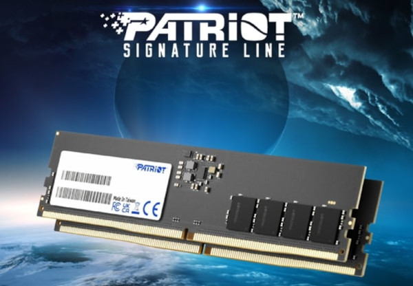 패트리어트 DDR5-4800 시그니처 라인 / 파인인포