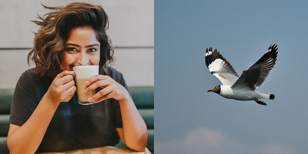 구글 바드로 생성한 이미지 / IT조선