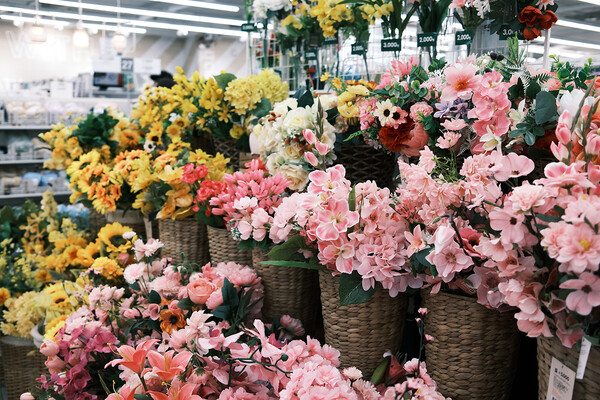 필름 시뮬레이션의 클래식 네거티브 모드로 촬영한 사진 / 조상록 기자