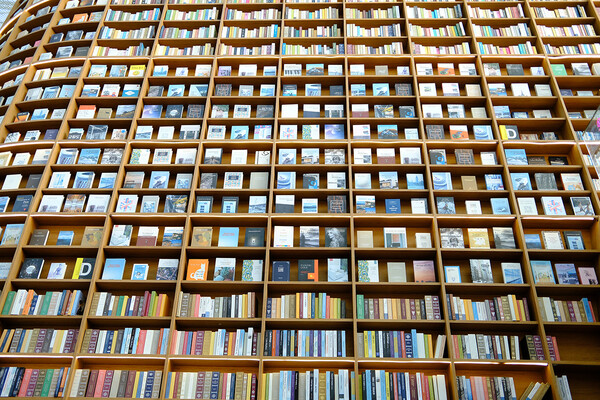 중앙부에서 주변부까지 이미지 왜곡 없는 결과물을 제공해준다. / 조상록 기자