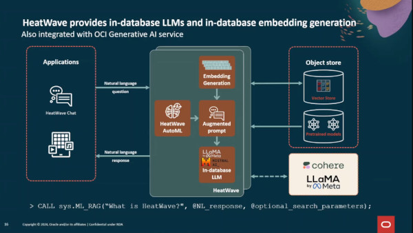 거대언어모델의 경우 내, 외부 옵션을 모두 활용할 수 있다. / 브리핑 영상 갈무리