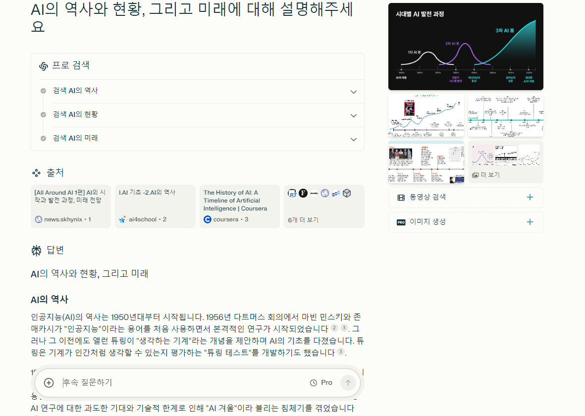 AI의 답변. / 퍼플렉시티 갈무리