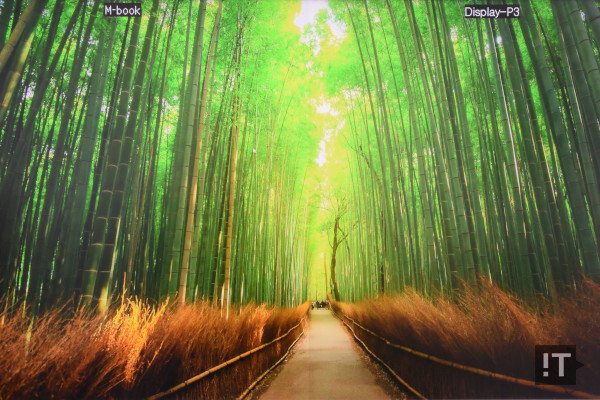 M-book 모드(왼쪽)와 디스플레이-P3 모드의 ‘듀얼뷰’ 모드 / 권용만 기자