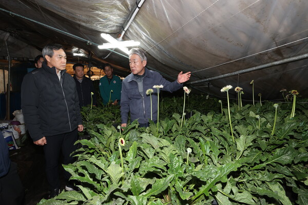 2일 경기도 안성 및 평택시 폭설피해 농가 현장을 방문한 강호동 농협중앙회장(가운데 회색 점퍼 착용)이 피해농업인을 위로했다./농협중앙회