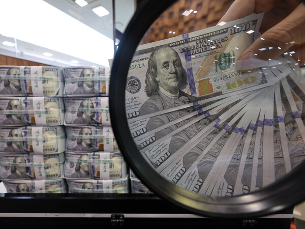 서울 중구 하나은행 위변조대응센터에서 은행 관계자가 달러화를 정리하고 있다. / 사진 = 뉴스1