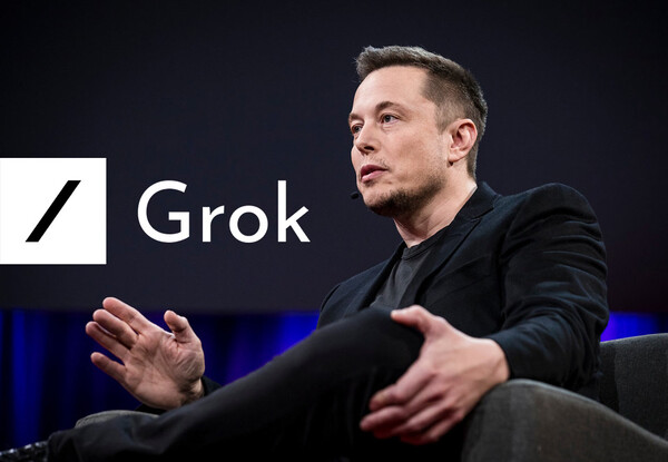 일론 머스크 테슬라·스페이스X 최고경영자(CEO). / xAI