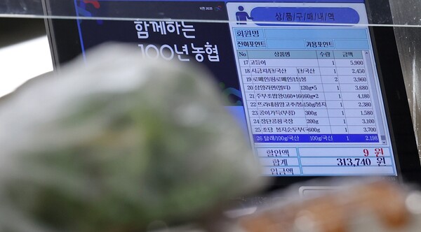 카드사들이 설 명절 특수에도 무이자할부 축소 등 비용절감 노력을 지속하고 있다 / 뉴스1