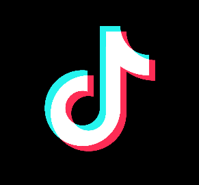 틱톡 로고. / 바이트댄스