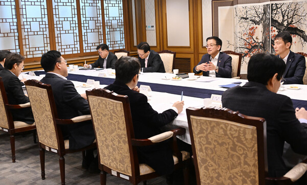 ​​​​​​​최상목 대통령 권한대행 부총리 겸 기획재정부 장관이 28일 서울 종로구 정부서울청사에서 열린 '거시경제·금융현안 간담회'를 주재하고 있다. /기획재정부