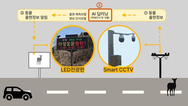 포스코DX의 ‘동물 찻길 사고 예방 및 모니터링 시스템’ 구성도. / 포스코DX