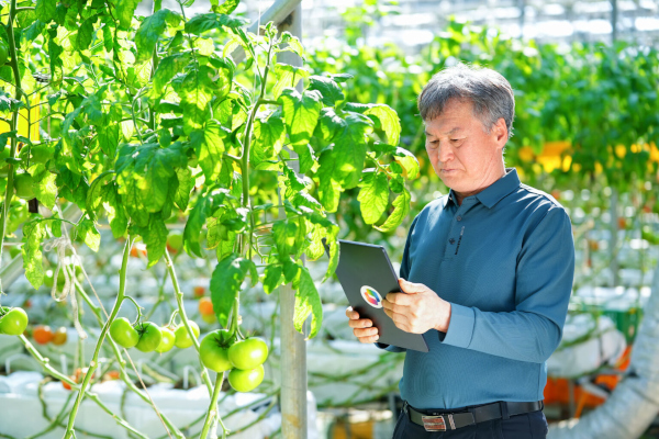 경남 함양군 ‘AI 스킬 이니셔티브’ 사례에 참여한 강명구 이장 / 마이크로소프트