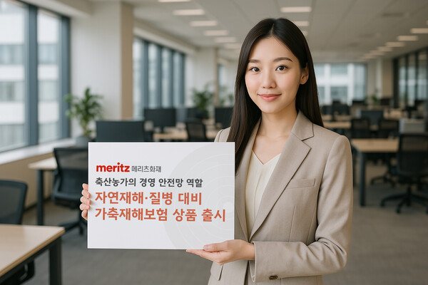 / 메리츠화재
