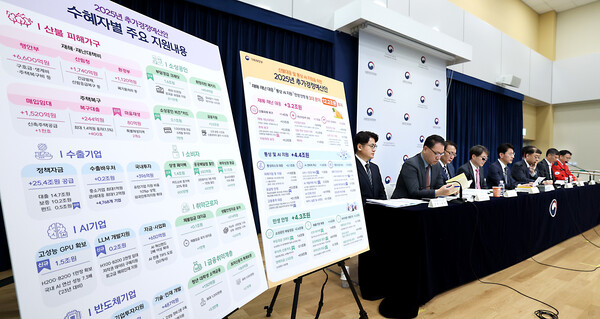 김윤상 기획재정부 2차관 등 정부부처 관계자들이 17일 세종시 정부세종청사 중앙동에서 산불대응 및 통상·AI 지원 등을 위한 2025년도 추가경정예산 편성 내용을 설명하고 있다. / 뉴스1