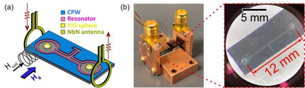 초전도 회로 기반 마그논-광자 하이브리드 시스템. (a) 소자 개략도. 실리콘 기판 상에 제작된 NbN 초전도 공진기 회로와 구형 YIG 자성체(지름 250 μm)를 결합하고, 수직 안테나를 통해 마그논을 생성, 실시간으로 측정함. (b) 실제 소자 사진. 두 YIG 구체 간의 거리는 12 mm로, 초전도 회로 없이는 서로 영향을 줄 수 없는 수준의 거리임. / 카이스트