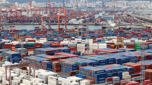 부산항 신선대부두와 감만부두 야적장에 쌓인 컨테이너. / 뉴스1