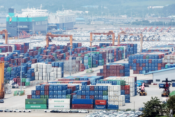 6일 경기 평택시 포승읍 평택항 야적장에 수출용 컨테이너와 차량들이 세워져 있다. / 뉴스1