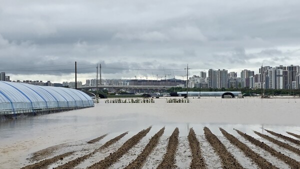 집중폭우로 침수 피해가 발생한 17일 충남 아산시 배방읍 일대가 불어난 빗물에 비닐하우스 등 시설물이 잠겨있다 /뉴스1