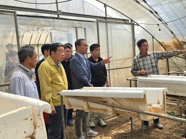 NH농협금융지주 이찬우 회장은 21일, 충남 홍성군 침수 피해를 입은 딸기 농가를 찾아 농업인의 피해 현황과 애로사항을 청취하고 있다./농협금융지주