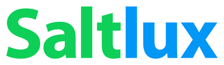 솔트룩스 CI / 솔트룩스