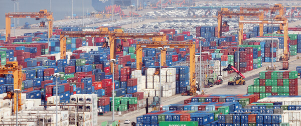 경기 평택시 포승읍 평택항에 수출용 컨테이너들이 세워져 있는 모습. / 뉴스1